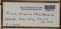 Image Associated With the Occurence